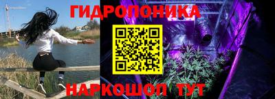 прущая мука Кимры