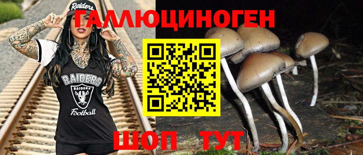 Галлюциногенные грибы мицелий  Вход с VPN  магазин    Заинск  Псилоцибиновые грибы мицелий 